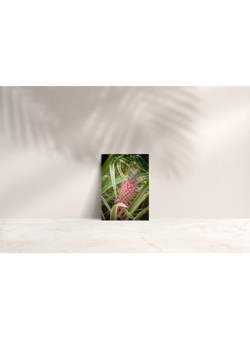 Butterfly in the Wind Home Laid Back Note Card Valia Honolulu