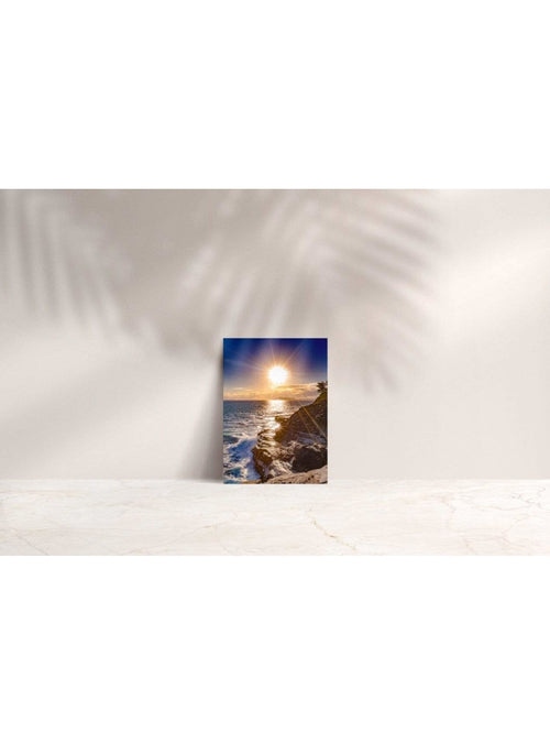 Butterfly in the Wind Home A Place in the Sun Note Card Valia Honolulu