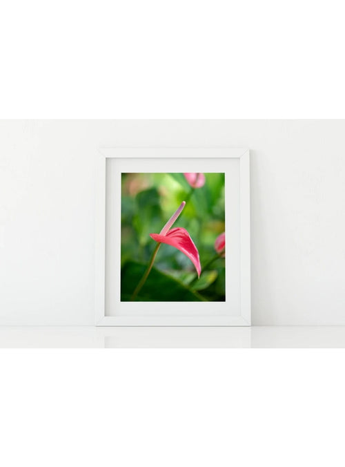 Butterfly in the Wind Home Nature Nourished 2 Art Print (5 x 7) Valia Honolulu