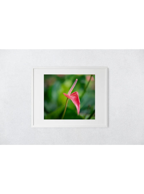 Butterfly in the Wind Home Nature Nourished Art Print (5 x 7) Valia Honolulu