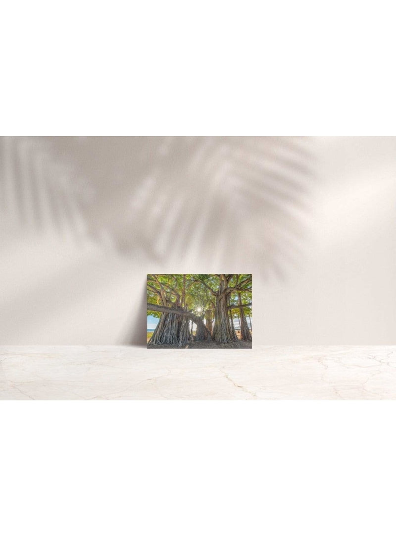 Butterfly in the Wind Home Queen's Beach Banyan Note Card Valia Honolulu