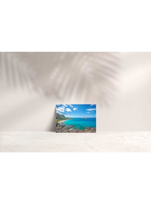 Butterfly in the Wind Home She Dreamed of Paradise Note Card Valia Honolulu