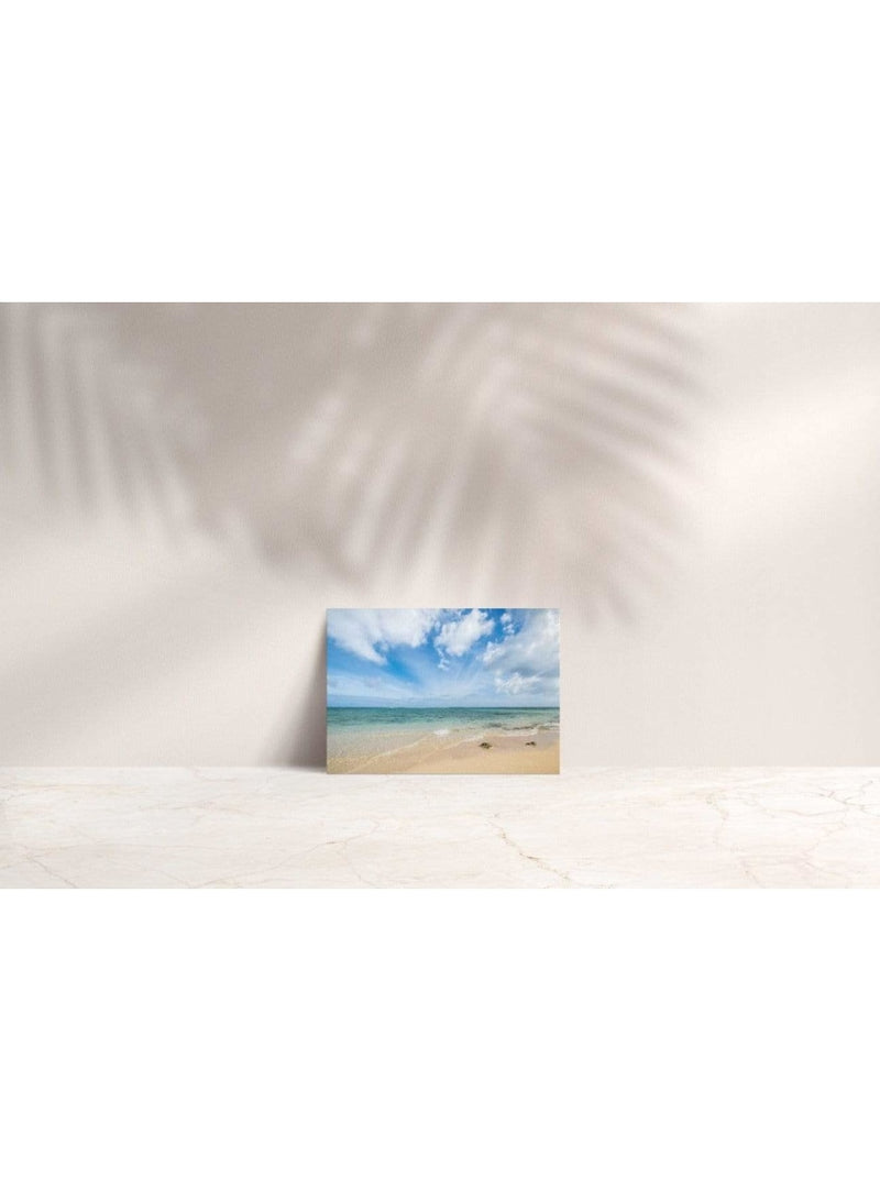 Butterfly in the Wind Home Somewhere on a Beach Note Card Valia Honolulu