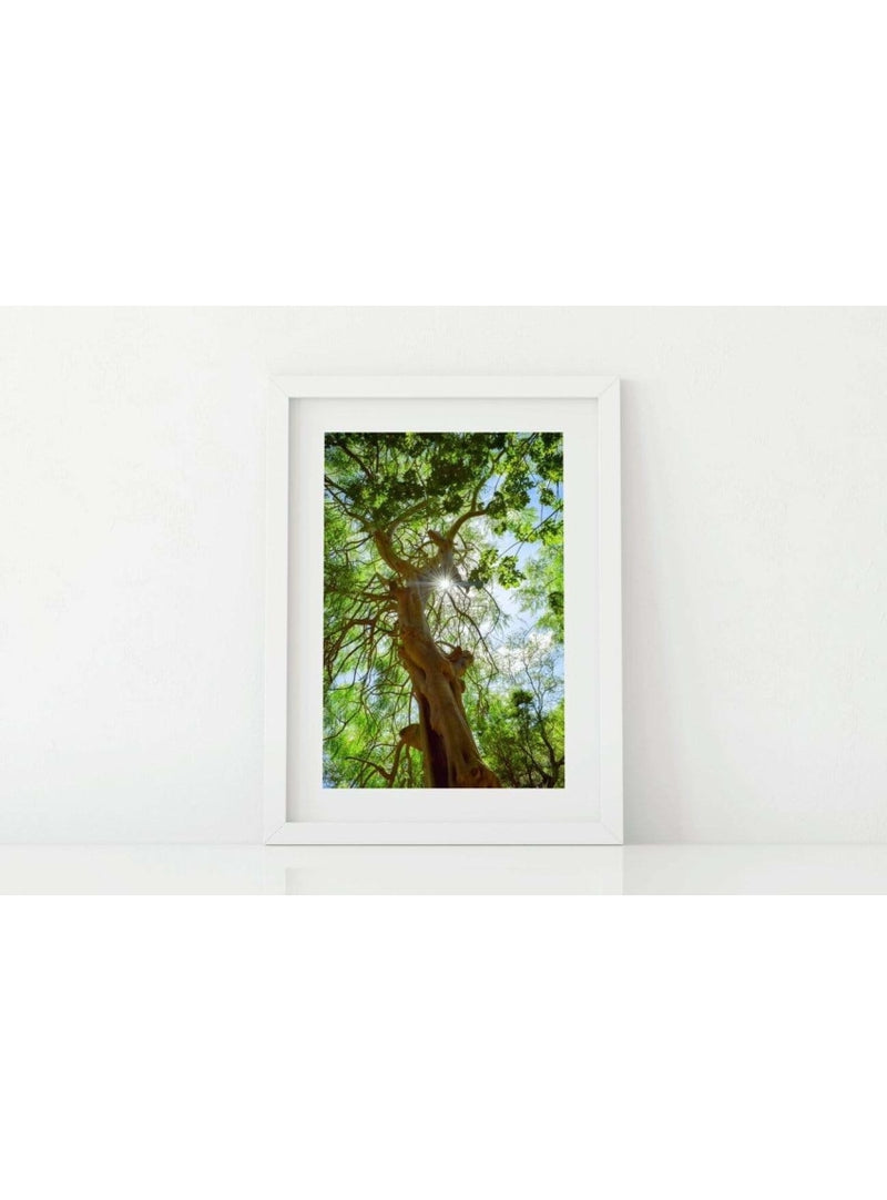 Butterfly in the Wind Home Stand Proud Art Print (5 x 7) Valia Honolulu