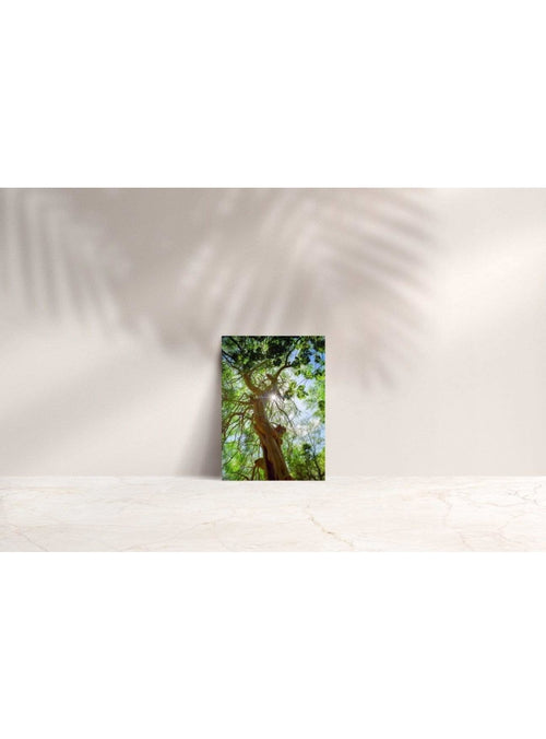 Butterfly in the Wind Home Stand Proud Note Card Valia Honolulu