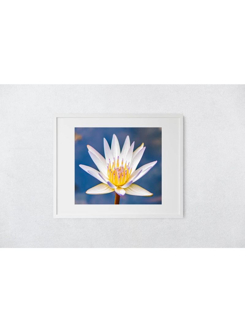 Butterfly in the Wind Home Tranquility Art Print (5 x 7) Valia Honolulu