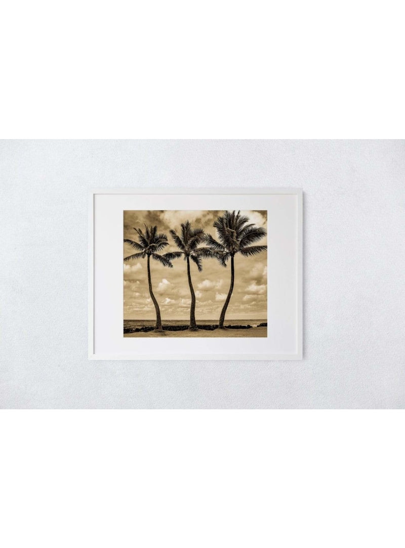 Butterfly in the Wind Home Tree Brothers in Sepia Art Print (5 x 7) Valia Honolulu
