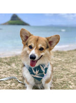 Ports + Paws Pet Dog Bandana in Green Paradise Valia Honolulu