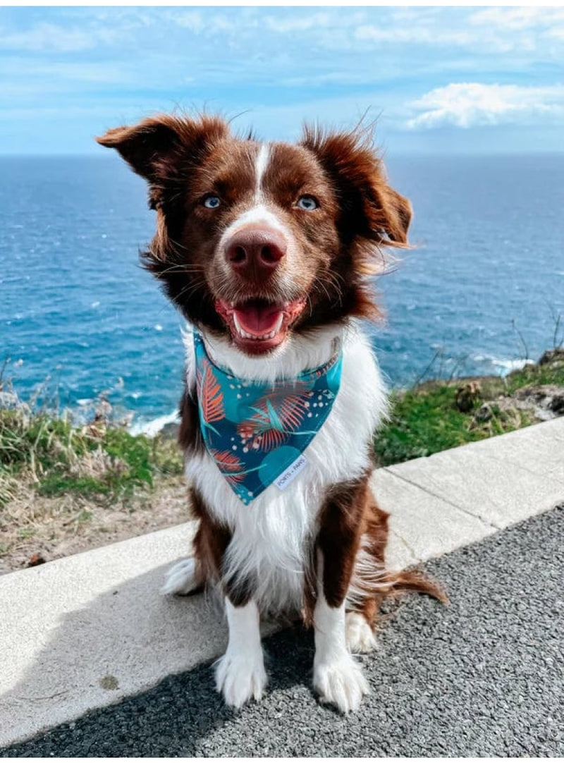 Ports + Paws Pet Dog Bandana in Porter Valia Honolulu